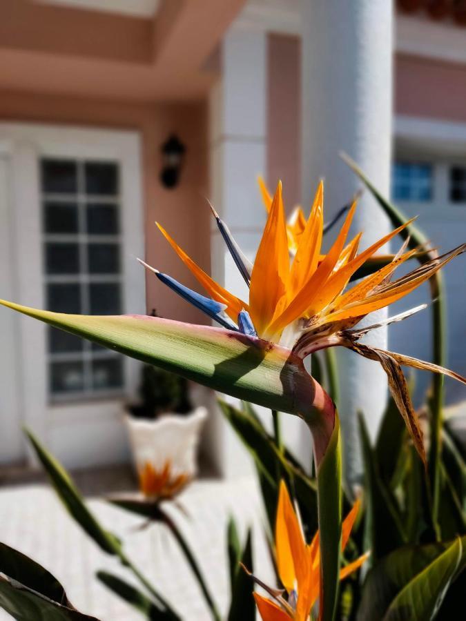 Villa Shardana B&B Sesimbra Dış mekan fotoğraf
