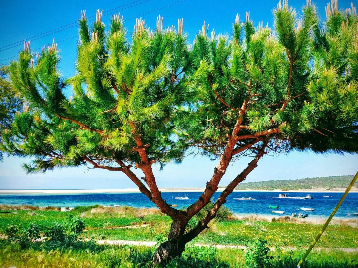 Villa Shardana B&B Sesimbra Dış mekan fotoğraf