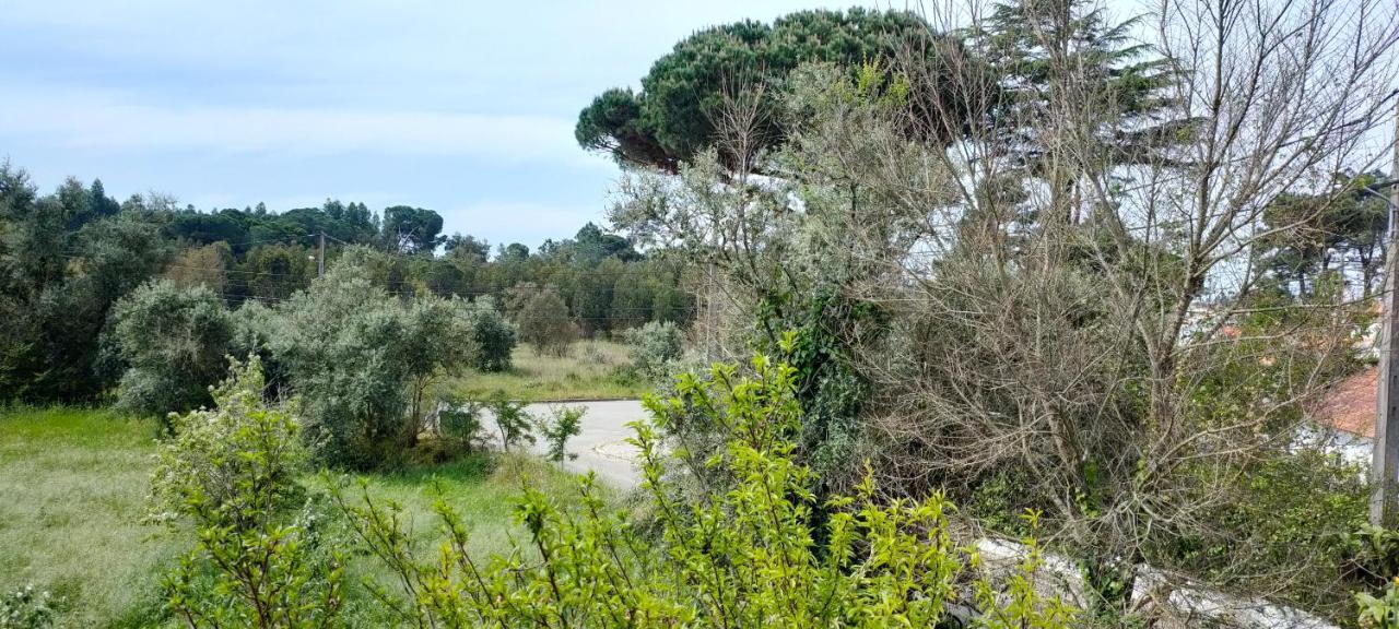 Villa Shardana B&B Sesimbra Dış mekan fotoğraf