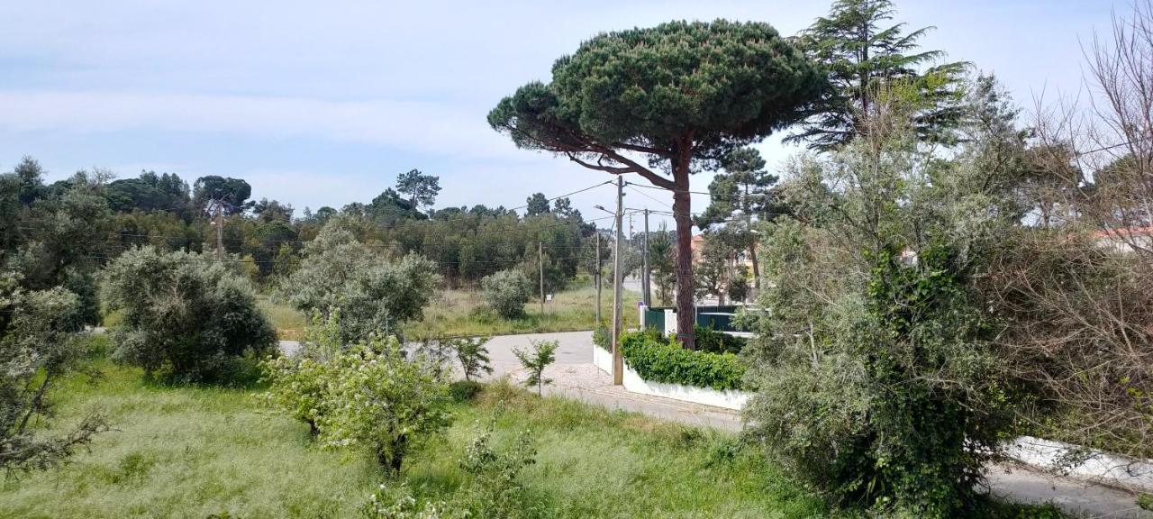 Villa Shardana B&B Sesimbra Dış mekan fotoğraf